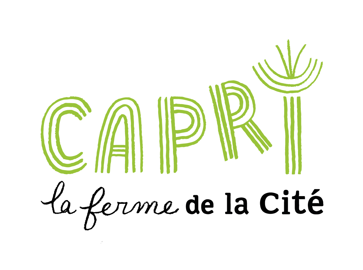 C.Logo-Capri_NV